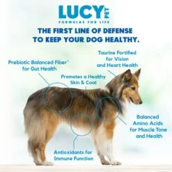 Lucy Pet Products Formulas For Life Grain-Free Salmon, Pumpkin & Quinoa Formula Dry Dog Food -Cozy Paws 151352 PT3. AC SS1800 V1581698295