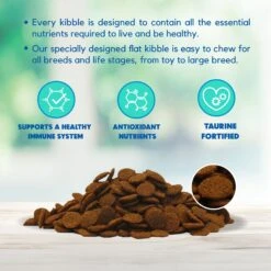 Lucy Pet Products Formulas For Life Grain-Free Salmon, Pumpkin & Quinoa Formula Dry Dog Food -Cozy Paws 151352 PT4. AC SS1800 V1581698366