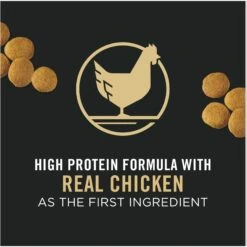 Purina Pro Plan Adult Large Breed Chicken & Rice Formula Dry Dog Food -Cozy Paws 151474 PT2. AC SS1800 V1657910691