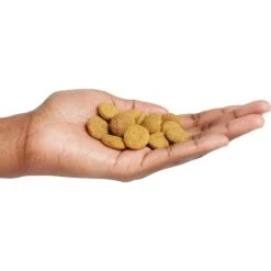 Purina Pro Plan Adult Large Breed Chicken & Rice Formula Dry Dog Food -Cozy Paws 151474 PT4. AC SS1800 V1657910575