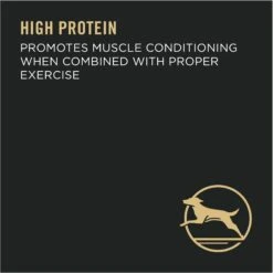 Purina Pro Plan Adult Large Breed Chicken & Rice Formula Dry Dog Food -Cozy Paws 151474 PT6. AC SS1800 V1657910573