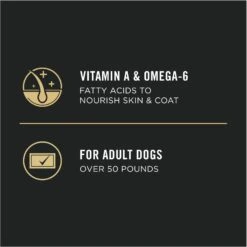 Purina Pro Plan Adult Large Breed Chicken & Rice Formula Dry Dog Food -Cozy Paws 151474 PT7. AC SS1800 V1657910572