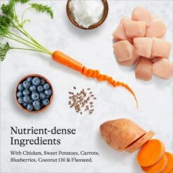 American Journey Senior Chicken & Sweet Potato Recipe Grain-Free Dry Dog Food -Cozy Paws 151814 PT5. AC SS1800 V1680545524