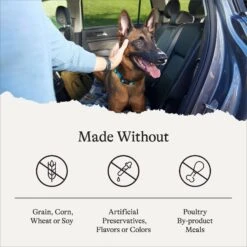 American Journey Senior Chicken & Sweet Potato Recipe Grain-Free Dry Dog Food -Cozy Paws 151814 PT6. AC SS1800 V1680545524