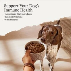 American Journey Protein & Grains Healthy Weight Chicken, Brown Rice & Vegetables Recipe Dry Dog Food -Cozy Paws 151824 PT2. AC SS1800 V1700243656