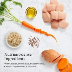 American Journey Protein & Grains Healthy Weight Chicken, Brown Rice & Vegetables Recipe Dry Dog Food -Cozy Paws 151824 PT5. AC SS1800 V1680624917