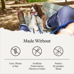 American Journey Protein & Grains Healthy Weight Chicken, Brown Rice & Vegetables Recipe Dry Dog Food -Cozy Paws 151824 PT6. AC SS1800 V1680624916