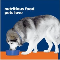 Hill's Prescription Diet C/d Multicare + Metabolic, Urinary + Weight Care Chicken Flavor Dry Dog Food 17 Hill's Prescription Diet C/d Multicare + Metabolic, Urinary + Weight Care Chicken Flavor Dry Dog Food -Cozy Paws 152409 PT6. AC SS1800 V1675784742