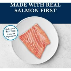 Blue Buffalo Natural Veterinary Diet HF Hydrolyzed For Food Intolerance Grain-Free Wet Dog Food -Cozy Paws 152874 PT3. AC SS1800 V1695083931