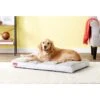 Brindle Soft Orthopedic Pillow Cat & Dog Bed With Removable Cover -Cozy Paws 154111 MAIN. AC SS1800 V1568843628