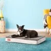 Brindle Plush Orthopedic Pillow Cat & Dog Bed With Removable Cover