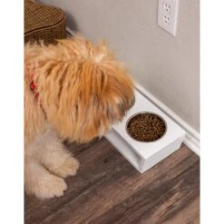 Internet's Best Modern Elevated Dog & Cat Bowls -Cozy Paws 154379 PT4. AC SS1800 V1540502048