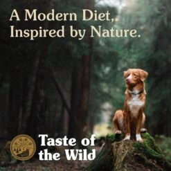 Taste Of The Wild High Prairie Grain-Free Dry Dog Food -Cozy Paws 154551 PT5. AC SS1800 V1641257205