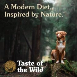 Taste Of The Wild High Prairie Puppy Formula Grain-Free Dry Dog Food -Cozy Paws 154555 PT5. AC SS1800 V1641256001