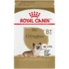 Royal Canin Breed Health Nutrition Chihuahua Adult 8+ Dry Dog Food -Cozy Paws 154776 MAIN. AC SS1800 V1695156230