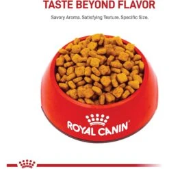 Royal Canin Breed Health Nutrition Dachshund Adult 8+ Dry Dog Food -Cozy Paws 154778 PT1. AC SS1800 V1695156345