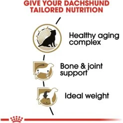 Royal Canin Breed Health Nutrition Dachshund Adult 8+ Dry Dog Food -Cozy Paws 154778 PT4. AC SS1800 V1695218670
