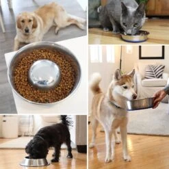 OurPets Durapet Premium Rubber-Bonded Stainless Steel Bowl -Cozy Paws 155067 PT6. AC SS1800 V1638837470