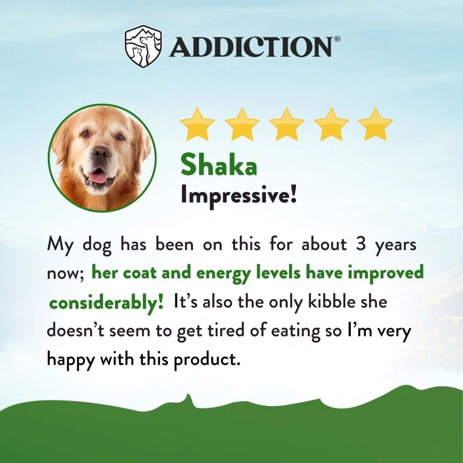 Addiction Zen Holistic Vegetarian Formula Chicken-Free Dry Dog Food 6 Addiction Zen Holistic Vegetarian Formula Chicken-Free Dry Dog Food - Image 4