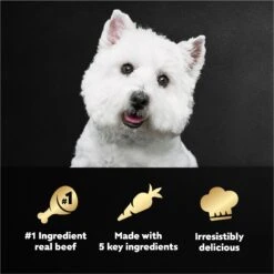 Cesar Simply Crafted Beef, Chicken, Purple Potatoes, Peas & Carrots Adult Wet Dog Food Topper -Cozy Paws 156807 PT7. AC SS1800 V1695746084