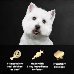 Cesar Simply Crafted Variety Pack Chicken, Carrots, Potatoes & Peas & Beef, Chicken, Purple Potatoes, Green Beans & Red Rice Adult Wet Dog Food Topper -Cozy Paws 156811 PT7. AC SS1800 V1695674578