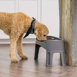 IRIS USA Elevated Dog Feeder With Attachable Feet -Cozy Paws 156889 PT2. AC SS1800 V1598660494