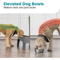 IRIS USA Elevated Dog Feeder With Attachable Feet -Cozy Paws 156889 PT5. AC SS1800 V1552318325