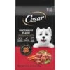 Cesar Porterhouse Flavor & Spring Vegetables Garnish Small Breed Adult Dry Dog Food