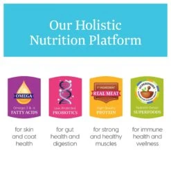 Solid Gold Love At First Bark Chicken, Potatoes & Apples Puppy Recipe Grain-Free Canned Dog Food -Cozy Paws 157132 PT4. AC SS1800 V1547218982