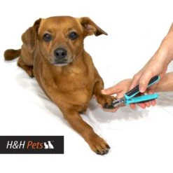 H&H Pets Dog & Cat Nail Clipper -Cozy Paws 157159 PT4. AC SS1800 V1575986274