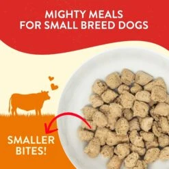 Stella & Chewy's Lil' Bites Itty Bitty Beef Recipe Small Breed Freeze-Dried Raw Dog Food -Cozy Paws 157723 PT1. AC SS1800 V1548193927