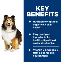Hill's Science Diet Adult Sensitive Stomach & Skin Tender Turkey & Rice Stew Canned Dog Food -Cozy Paws 157792 PT3. AC SS1800 V1595689885