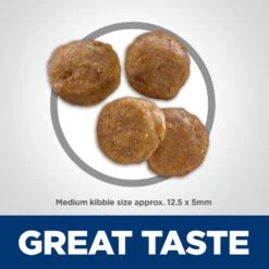 Hill's Science Diet Adult Sensitive Stomach & Sensitive Skin Grain-Free Chicken & Potato Recipe Dry Dog Food -Cozy Paws 157795 PT2. AC SS1800 V1607994747