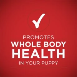 Purina ONE +Plus Classic Ground Healthy Puppy Lamb & Long Grain Rice Entree Canned Dog Food -Cozy Paws 158418 PT6. AC SS1800 V1668810154