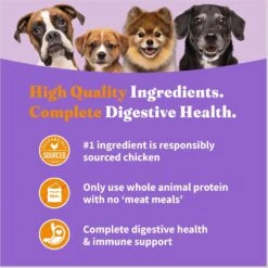 Halo Holistic Complete Digestive Health Chicken & Brown Rice Dog Food Recipe Adult Dry Dog Food -Cozy Paws 159195 PT3. AC SS1800 V1671815598