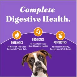 Halo Holistic Complete Digestive Health Chicken & Brown Rice Dog Food Recipe Adult Dry Dog Food -Cozy Paws 159195 PT5. AC SS1800 V1671814741