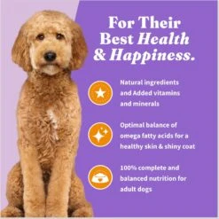 Halo Holistic Complete Digestive Health Chicken & Brown Rice Dog Food Recipe Adult Dry Dog Food -Cozy Paws 159195 PT6. AC SS1800 V1671813772