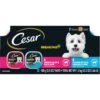 Cesar Breakfast Classic Loaf In Sauce Variety Pack Small Breed Adult Wet Dog Food Trays -Cozy Paws 159227 MAIN. AC SS1800 V1695650081