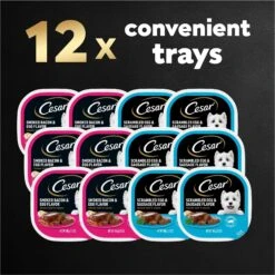 Cesar Breakfast Classic Loaf In Sauce Variety Pack Small Breed Adult Wet Dog Food Trays -Cozy Paws 159227 PT8. AC SS1800 V1695750310