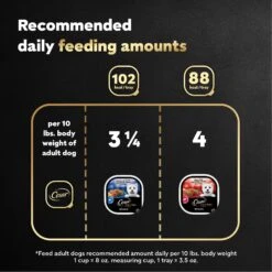 Cesar Bacon Feast Loaf & Topper Variety Pack Small Breed Adult Wet Dog Food Trays -Cozy Paws 159229 PT6. AC SS1800 V1695750252