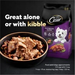 Cesar Bacon Feast Loaf & Topper Variety Pack Small Breed Adult Wet Dog Food Trays -Cozy Paws 159229 PT8. AC SS1800 V1695738952