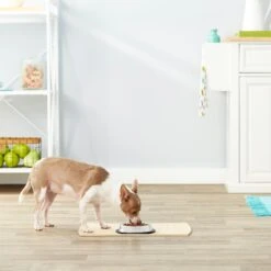 Frisco Non-Skid Stainless Steel Bowl -Cozy Paws 159860 PT3. AC SS1800 V1570543131