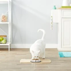 Frisco Non-Skid Stainless Steel Bowl -Cozy Paws 159860 PT4. AC SS1800 V1570543031