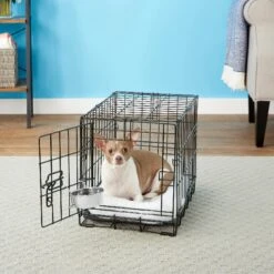 Frisco Stainless Steel Kennel Bowl Dog & Cat Bowl -Cozy Paws 159871 PT3. AC SS1800 V1570543067