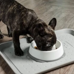 IRIS USA Non-Slip Rubber Slow Feeder With Raised Bumps Dog & Cat Bowl -Cozy Paws 159938 PT2. AC SS1800 V1598662004