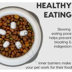 IRIS USA Non-Slip Rubber Slow Feeder With Raised Bumps Dog & Cat Bowl -Cozy Paws 159938 PT3. AC SS1800 V1550598712