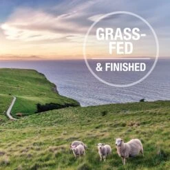 K9 Natural Lamb & King Salmon Grain-Free Freeze-Dried Dog Food -Cozy Paws 160751 PT5. AC SS1800 V1693245084