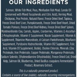 Instinct Raw Boost Grain-Free Recipe With Real Salmon & Freeze-Dried Raw Pieces Dry Dog Food -Cozy Paws 160755 PT6. AC SS1800 V1623434279