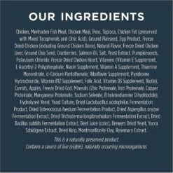 Instinct Raw Boost Skin & Coat Health Grain-Free Recipe With Real Chicken & Freeze-Dried Raw Pieces Adult Dry Dog Food -Cozy Paws 160761 PT5. AC SS1800 V1552327082