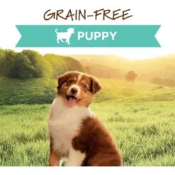 Instinct Original Puppy Grain-Free Real Chicken Recipe Wet Canned Dog Food -Cozy Paws 160770 PT1. AC SS1800 V1668200067